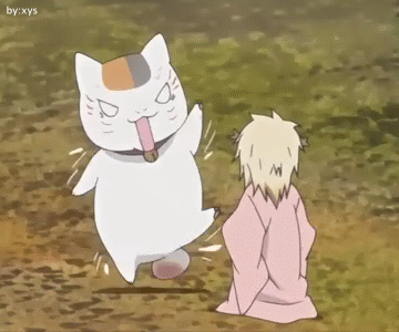 搞怪的猫咪老师