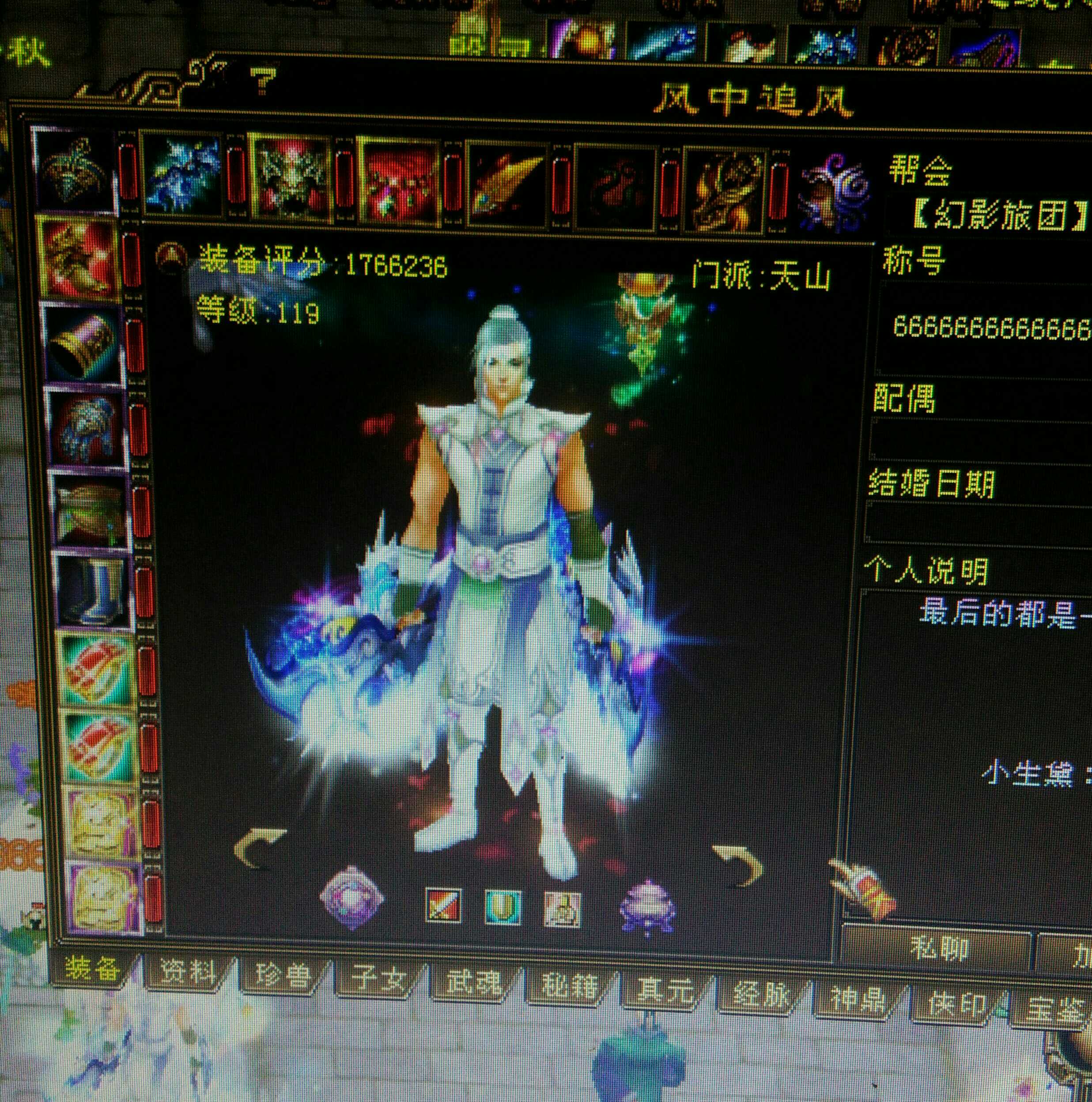 天龙风中追风多少属性图片