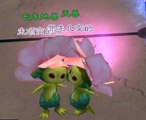 恋奇 (12).jpg