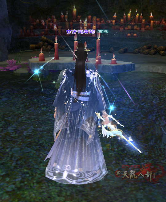 8深紫背.png