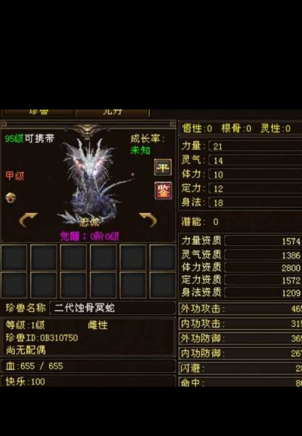 1735908414386.jpg